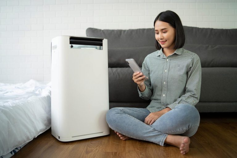 best bedroom dehumidifier for sound sleep in new orleans sleeping zones