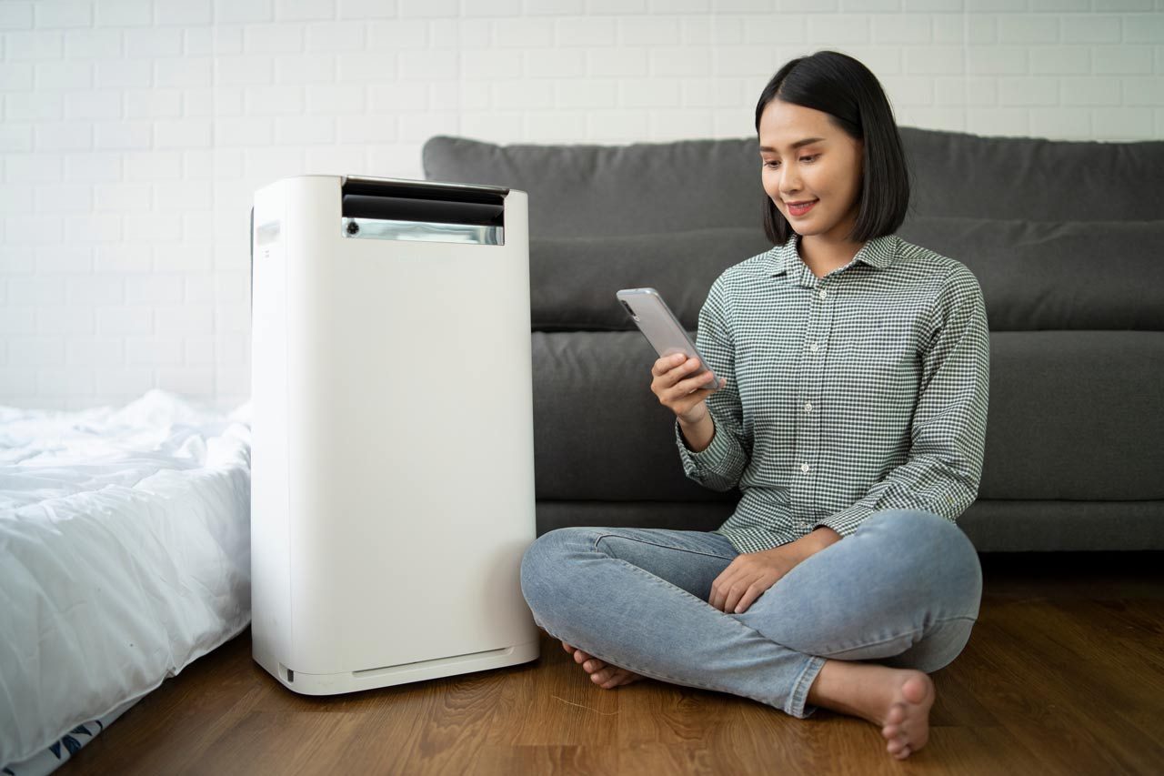 Best Bedroom Dehumidifier for Sound Sleep in New Orleans best bedroom dehumidifier for sound sleep in new orleans sleeping zones