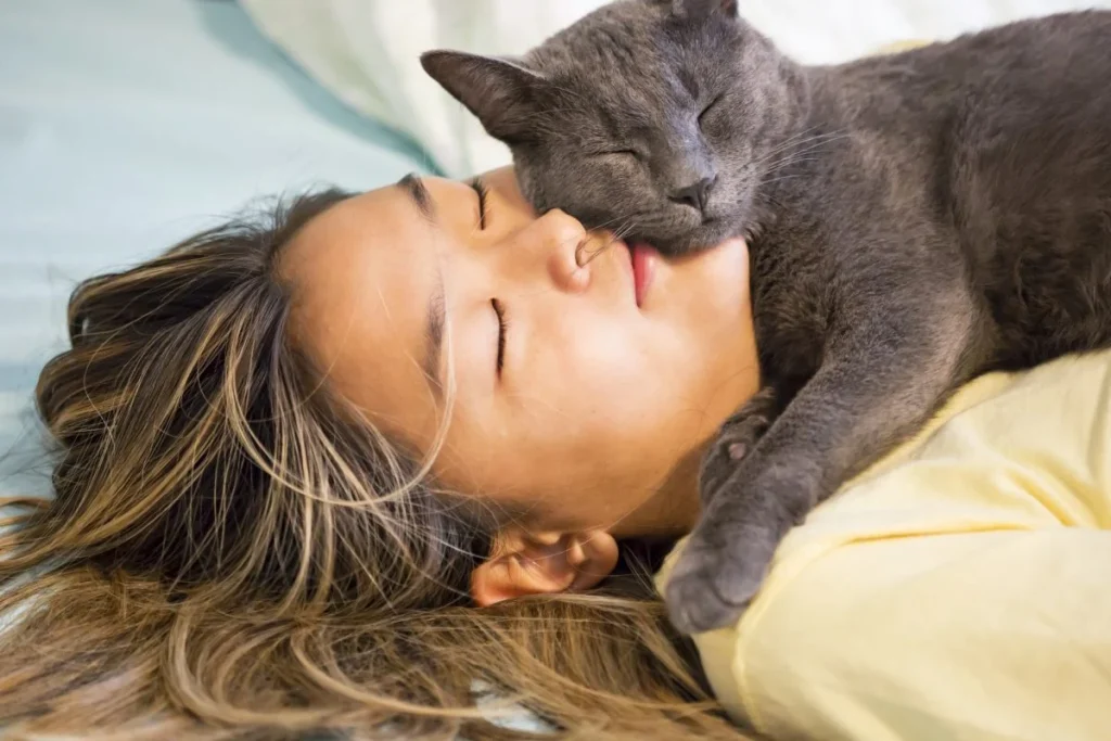 best sleeping positions if you share a bed with your dog or cat sleeping zones