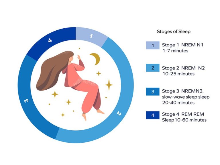 sleep cycle stages sleeping zones
